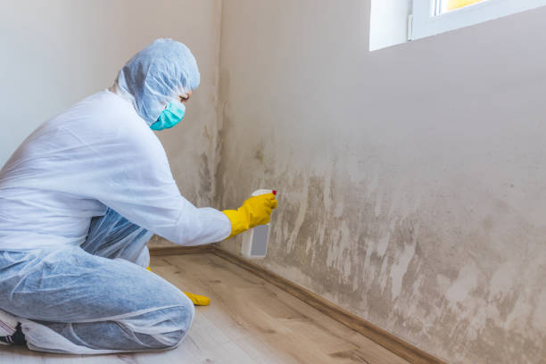 Licensed Mold Testing service in Paramus, NJ - WQB Mold Removal