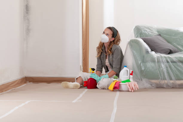 Trusted Mold Testing service in Paramus, NJ - WQB Mold Removal